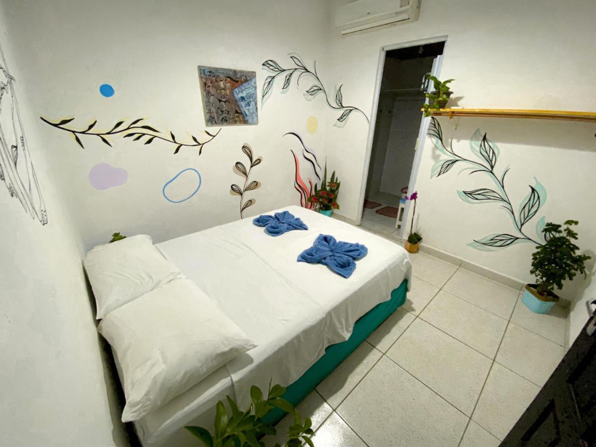 Aurora Hostel Praia de Pipa المظهر الخارجي الصورة